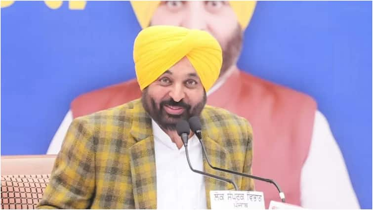 Bhagwant Mann Said- Do Not Make The Border Of India And Punjab By Installing Barbed Wire know details Farmers Movement: ਭਗਵੰਤ ਮਾਨ ਬੋਲੇ- ਕੰਡਿਆਲੀ ਤਾਰ ਲਾ ਕੇ ਇੰਡੀਆ ਤੇ ਪੰਜਾਬ ਦੀ ਸਰਹੱਦ ਨਾ ਬਣਾਓ