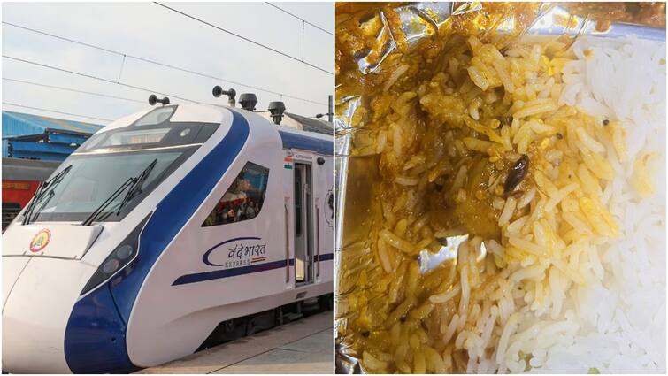 Vande Bharat Train Passenger Claims Cockroach Found In His Food Post Goes Viral IRCTC Indian Railways Vande Bharat Train Passenger Claims Cockroach Found In His Food, Post Goes Viral. IRCTC Responds