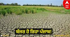 Chandigarh News: ਬੰਜਰ ਹੋ ਰਿਹਾ ਪੰਜਾਬ! ਅੰਕੜੇ ਵੇਖ ਹਾਈਕੋਰਟ ਵੀ ਫਿਕਰਮੰਦ, ਪੰਜਾਬ ਸਰਕਾਰ ਨੂੰ ਨੋਟਿਸ