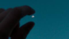 Optical Illusion: इस तस्वीर में छुपे हैं 7 चेहरे,  बाज जैसी नजर चाहिए इन्हें ढूंढने के लिए