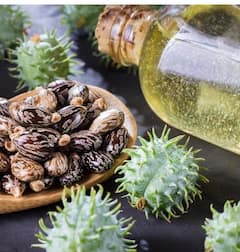 Joint pain relief: ਕੈਸਟਰ ਆਇਲ ਦੇ ਚਮਤਕਾਰੀ ਫਾਇਦੇ ਸੋਜ ਅਤੇ ਦਰਦ ਵਰਗੀਆਂ ਸਮੱਸਿਆਵਾਂ ਤੋਂ ਮਿਲਦੀ ਰਾਹਤ