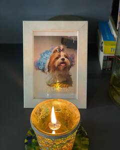 Sumona Chakravarti Misses Pet Dog Bubble's On Its 1st Death Anniversary; Shares Post On Gram