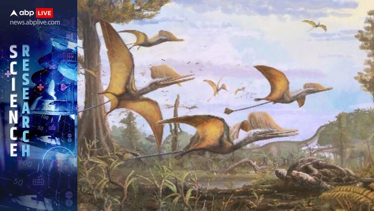 Scientists Discover New Pterosaur Species Scotland Finding Shows Clade Lived For Over 25 Million Years ABPP Scientists Discover New Pterosaur Species In Scotland, Finding Shows Clade Lived For Over 25 Mn Years