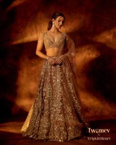 Triptii Dimri : బ్లాక్ అండ్ వైట్ లుక్​లో తృప్తి.. చూస్తే పోతుందిగా మతి