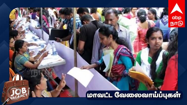 Job Fair private sector employment camp in Villupuram full details inside - TNN Job Fair: விழுப்புரத்தில் தனியார் துறை வேலைவாய்ப்பு முகாம்... முழு விவரம் உள்ளே