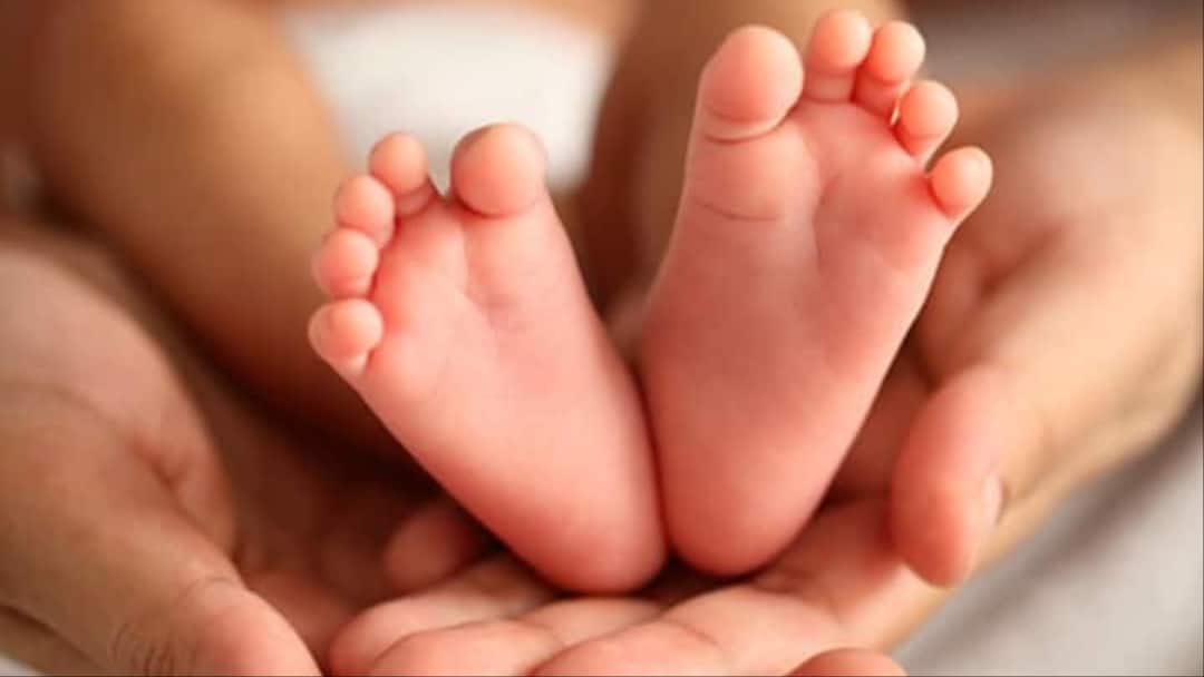 Himachal Pradesh female cook of education department will also get maternity leave ann Himachal: हिमाचल में अब शिक्षा विभाग की महिला कुक को भी मिलेगी मैटरनिटी लीव, 17889 महिला कर्मियों को फायदा