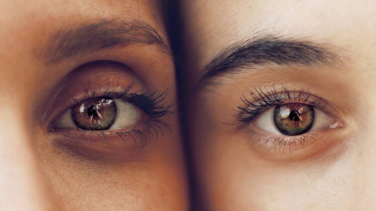 Brown-eyed should not be trusted know the reason Brown Eyes: ਭੂਰੀ ਅੱਖ ਵਾਲੇ 'ਤੇ ਨਹੀਂ ਕਰਨਾ ਚਾਹੀਦਾ ਭਰੋਸਾ, ਜਾਣੋ ਇੰਝ ਕਿਉਂ ਕਿਹਾ ਜਾਂਦਾ