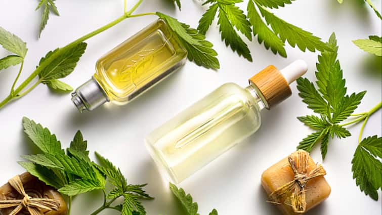 Hair Oils Serums better haircare formula which should be used benefits side effects Hair Oils Vs. Serums- Which One Is A Better Haircare Formula? Experts Explain