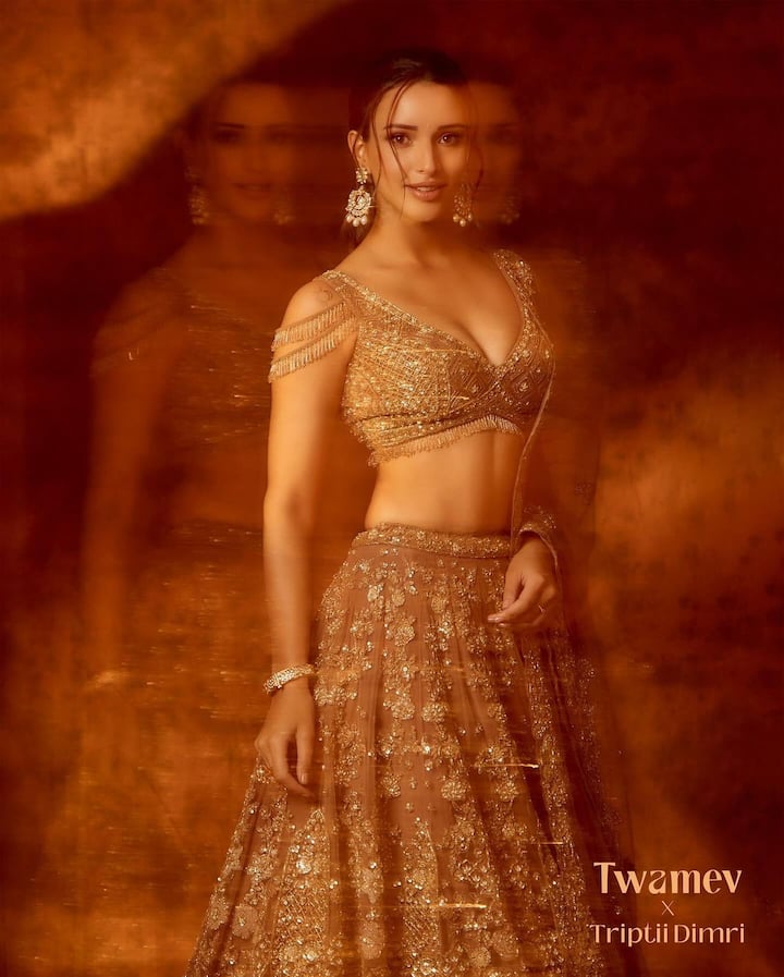 యానిమల్ సినిమా తర్వాత ఆమెకు తెలుగులో చాలా ఆఫర్లు వస్తున్నాయి. ప్రస్తుతం ప్రభాస్ సరసన ఓ బంపర్ ఆఫర్ కొట్టేసినట్లు సినీ వర్గాలు చెప్తున్నాయి. (Images Source : Instagram/tripti_dimri)