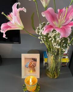 Sumona Chakravarti Misses Pet Dog Bubble's On Its 1st Death Anniversary; Shares Post On Gram