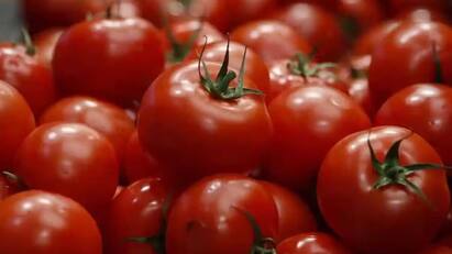 Vegetables price list february 7 2024 chennai koyambedu market Vegetable Price: சற்றே உயர்ந்த தக்காளி விலை.. ஏற்ற இறக்கத்தில் மற்ற காய்கறிகள்.. இன்றைய பட்டியல் இதோ..