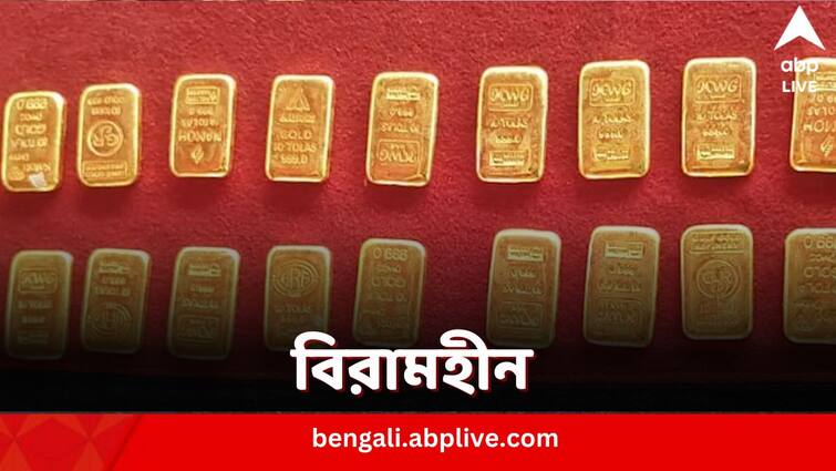 South Bengal BSF detains two while smuggling gold biscuits through India Bangladesh Border Gold Smuggling: সাবধানবার্তাই সার, সীমান্তে চোরাচালান চলছেই, ২ কোটি টাকার সোনার বিস্কিট উদ্ধার