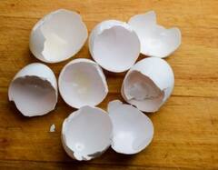 Eggshells: ਅੰਡੇ ਦੇ ਛਿਲਕਿਆਂ ਤੋਂ ਮਿਲਣ ਵਾਲੇ ਫਾਇਦੇ ਜਾਣ ਹੋ ਜਾਵੋਗੇ ਹੈਰਾਨ