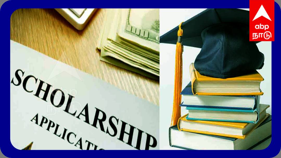 Scholarship: அரசு ஒதுக்கீட்டின் கீழ் பயிலும் மாணாக்கர்கள் கல்வி உதவித்தொகை பெற விண்ணப்பிக்கலாம் - விழுப்புரம் ஆட்சியர் அறிவிப்பு