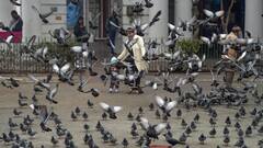 दिल्ली में 8 फरवरी को खिलेगी धूप लेकिन ठंड से राहत के नहीं आसार, जानें IMD ने क्या कहा?