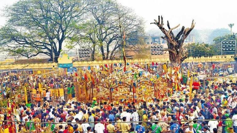 Medaram jatara gudi mileage panduga starts in the part of sammakka saralamma Maha Jatara Medaram Jatara: మేడారం జాతరలో తొలి ఘట్టం మొదలు, మహా జాతరకు సర్వం సిద్ధం