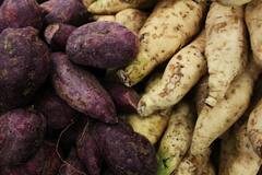 Radish : हिवाळ्यात मुळा कोणत्या पद्धतीने आणि केव्हा खावा? जाणून घ्या.