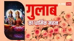 गुलाब का फूल किन देवी-देवताओं की पूजा में चढ़ाया जाता है, जानिए वास्तु और ज्योतिष में इसका महत्व