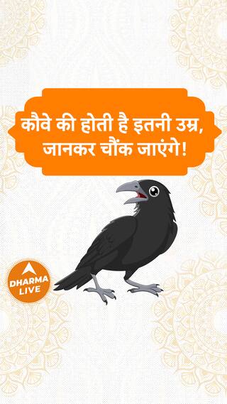 कौवे की होती है इतनी उम्र जानकर चौंक जाएंगे Dharma Live gdvashist crow sanatandharma