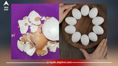 Eggshells: ਅੰਡੇ ਦੇ ਛਿਲਕਿਆਂ ਤੋਂ ਮਿਲਣ ਵਾਲੇ ਫਾਇਦੇ ਜਾਣ ਹੋ ਜਾਵੋਗੇ ਹੈਰਾਨ
