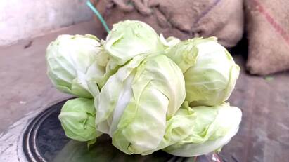 Dindigul news batlagundu market Navgraha Cabbage public was amazed - TNN Dindigul: வத்தலகுண்டுவில் நவக்கிரக முட்டைகோஸ்..வியந்து பார்த்த மக்கள்
