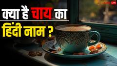 चाय को हिंदी में क्या कहते हैं और ये शब्द कहां से आया?