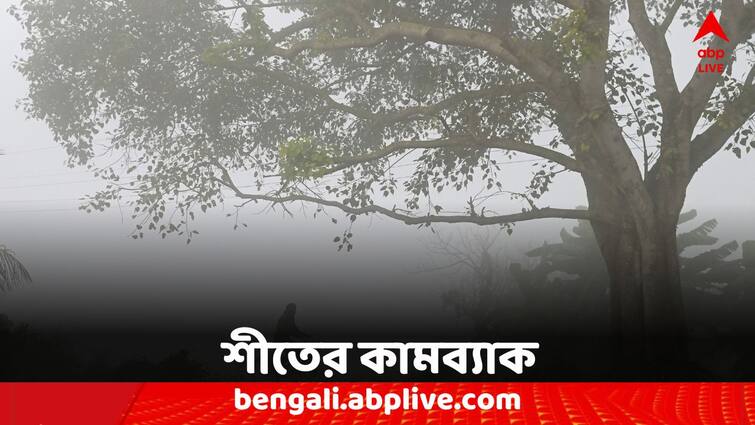 West bengal Weather South Bengal Temperature winter forecast 8 February 2024 South Bengal Weather: মাঘের শেষলগ্নে ফিরল ঠান্ডা, সপ্তাহান্তে শীতের আমেজ বাড়বে দক্ষিণবঙ্গে
