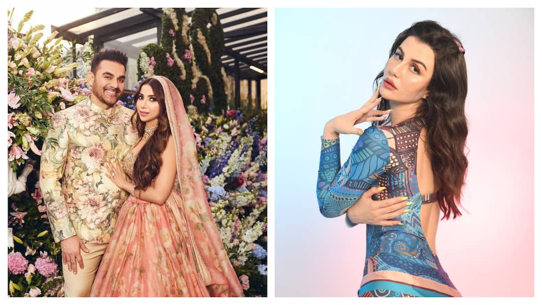 'Unfortunate, Inappropriate&rsquo;: Arbaaz Khan On Ex Giorgia Andriani&rsquo;s Interviews On Their Breakup Before His Marriage