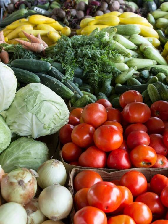 घर में उगने वालीं  सब्जियां