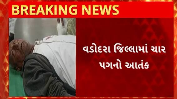 Vadodara News : ધનયાવીમાં ચાર પગનો આંતક, વૃદ્ધ પર દીપડાએ કર્યો હુમલો