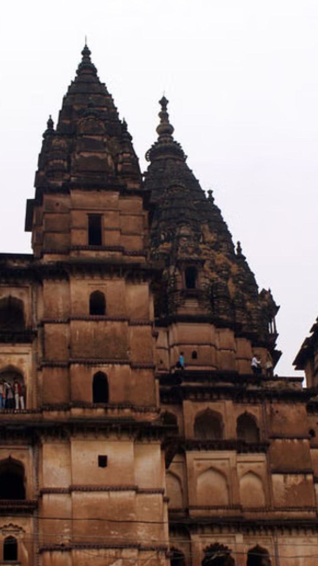 भारत में कृषि के क्षेत्र में हरियाणा
