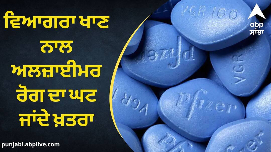 Viagra Benefits: ਵਿਆਗਰਾ ਖਾਣ ਨਾਲ ਅਲਜ਼ਾਈਮਰ ਰੋਗ ਦਾ ਘਟ ਜਾਂਦੇ ਖ਼ਤਰਾ, ਰਿਪੋਰਟ 'ਚ ਖ਼ੁਲਾਸਾ Viagra linked to decreased risk of Alzheimer’s disease Study Viagra Benefits: ਵਿਆਗਰਾ ਖਾਣ ਨਾਲ ਅਲਜ਼ਾਈਮਰ ਰੋਗ ਦਾ ਘਟ ਜਾਂਦੇ ਖ਼ਤਰਾ, ਰਿਪੋਰਟ 'ਚ ਖ਼ੁਲਾਸਾ