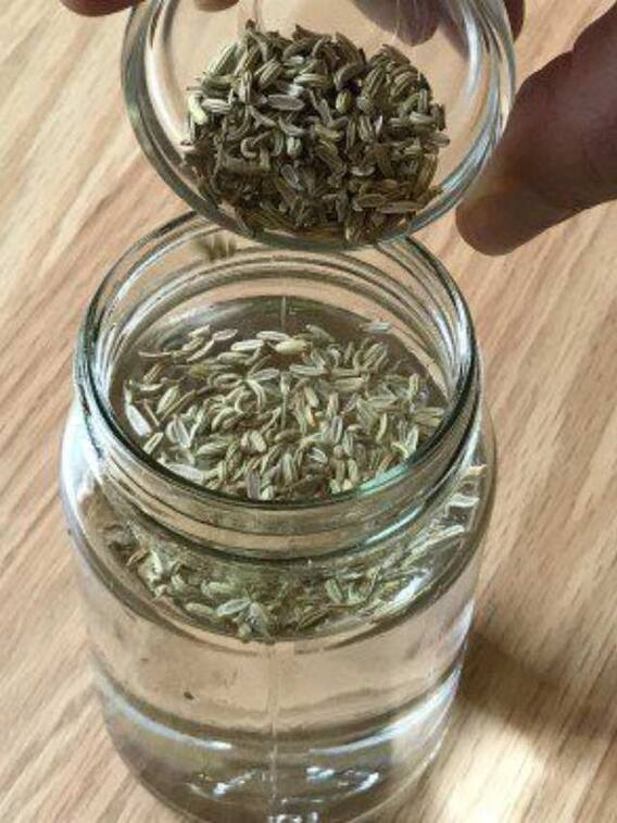 सौंफ वाला पानी पीने के हैं इतने फायदे