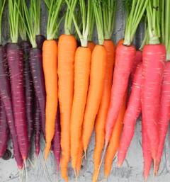 Carrots benefits: ਰੋਜ਼ਾਨਾ 1 ਗਾਜਰ ਖਾਣ ਦੇ ਗਜ਼ਬ ਦੇ ਫਾਇਦੇ, ਜਾਣੋ ਸਿਹਤ ਮਾਹਿਰ ਤੋਂ