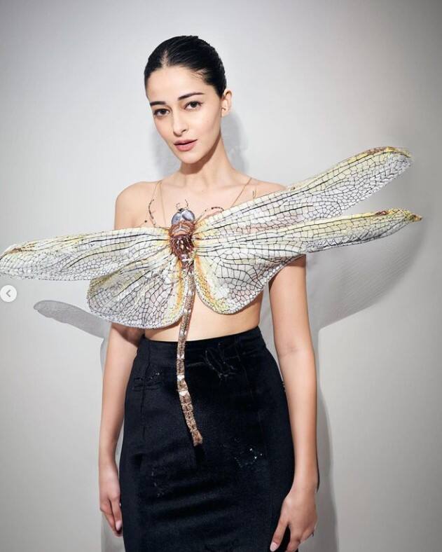 ਕੁਝ ਤਸਵੀਰਾਂ 'ਚ ਅਨੰਨਿਆ ਪਾਂਡੇ ਨੇ ਬਟਰਫਲਾਈ ਸਟਾਈਲ ਦਾ ਕ੍ਰੌਪ ਟਾਪ ਪਾਇਆ ਹੋਇਆ ਹੈ। ਉਨ੍ਹਾਂ ਦੇ ਇਸ ਲੁੱਕ ਨੂੰ ਫੈਨਜ਼ ਕਾਫੀ ਪਸੰਦ ਕਰ ਰਹੇ ਹਨ।