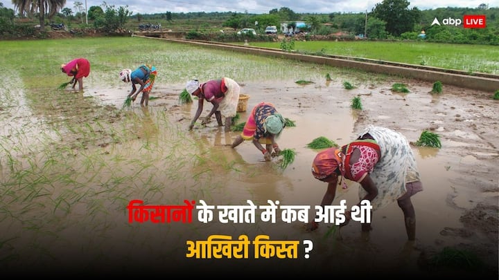 PM Kisan Yojana: देशभर के करोड़ों किसानों के खाते में पीएम किसान योजना के तहत पैसे ट्रांसफर किए जाते हैं, साल में कुल तीन किस्तों में 6 हजार रुपये मिलते हैं.