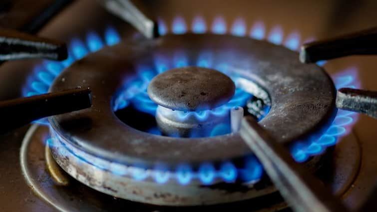 tips to save LPG gas easy tips to clean burner Tips Save LPG Gas :இல்லத்தரசிகளே கேஸ் வீணாகாமல் இருக்கணுமா?.. பர்னரை சுத்தம் செய்வது இவ்வளவு ஈசியா..டிப்ஸ் இதோ!