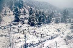 Jammu-Kashmir Snowfall : जम्मू-काश्मीरमध्ये हिमवर्षाव!