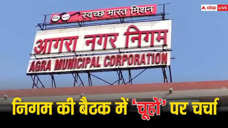 Agra will get relief from rats issue raised in Nagar Nigam Meeting ANN UP News: ताज नगरी आगरा को खोखला कर रहे हैं 'चूहे', नगर निगम की बैठक में उठा मुद्दा, मेयर ने दिया आश्वासन