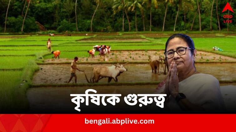 West Bengal Budget 2024 Mamata Banerjee government announces several schemes for farmers West Bengal Budget: আলুচাষিদের বিমার প্রিমিয়াম, চাষে আধুনিক যন্ত্রের ব্যবহার, কৃষিতে একাধিক ঘোষণা রাজ্যের