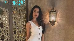 Sarah Jane Dias Photos: పవన్ కళ్యాణ్ 'పంజా 'హీరోయిన్ ఇలా అయిపోయిందేంటి!