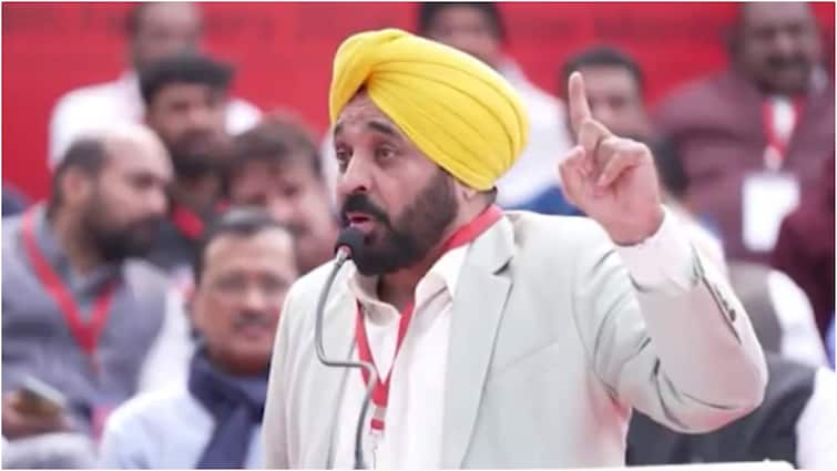 Punjab cm bhagwant mann hits at bjp during LDF protest in Delhi Punjab: 'जिन राज्यों में बीजेपी की नहीं सरकार वहां राज्यपाल...', सीएम मान का केंद्र पर हमला