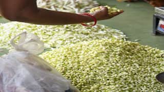 மதுரையில் கிலோ ரூ.2000க்கு விற்பனையாகும்  மல்லிகை பூ - காரணம் என்ன..?