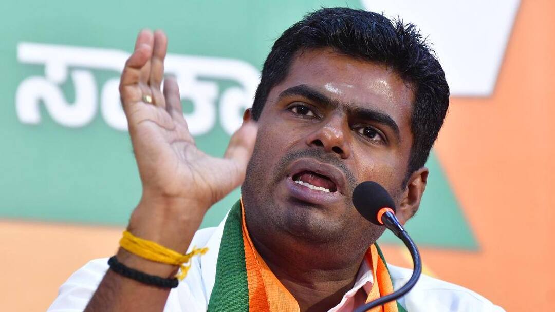 Annamalai: பாஜக தலைவர் அண்ணாமலை தொடர்ந்த மனு.. தள்ளுபடி செய்த சென்னை உயர்நீதிமன்றம்!