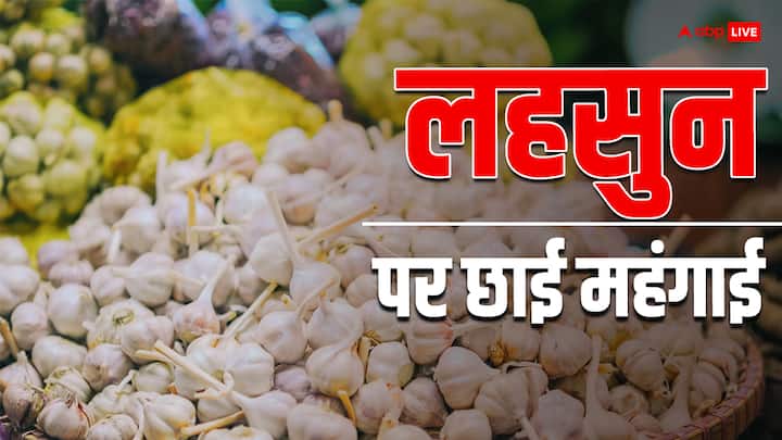 Garlic Price hike in Raipur market Chhattisgarh skyrocketing 480 par kg know customers and shopkeepers on Garlic Price ann Chhattisgarh News: आसमान छू रहे लहसुन के दाम, रायपुर के सब्जी मार्केट में क्या बोले ग्राहक और दुकानदार?