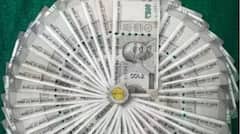 लाखोंची नोकरी सोडून तरुणीनं सुरु केला व्यवसाय, आज वर्षाला करतेय 2 कोटींची उलाढाल