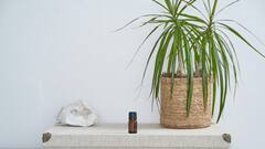 Essential Oil Sleep : நல்ல தூக்கம் இல்லையா? நறுமண எண்ணெயும் இவ்வளவு யூஸ் ஆகுமா?