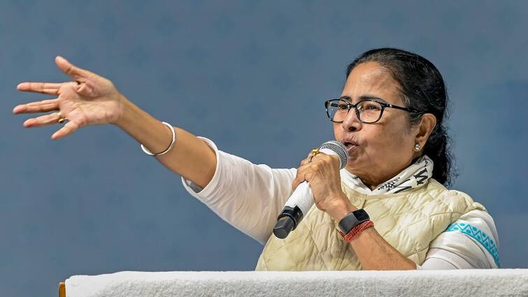 BJP Disrupts West Bengal Assembly CM Mamata Banerjee Condemns Dirty Politics During Budget Session 'Aren't You Ashamed': Mamata Slams BJP MLAs As They Create Ruckus During Bengal Budget Session