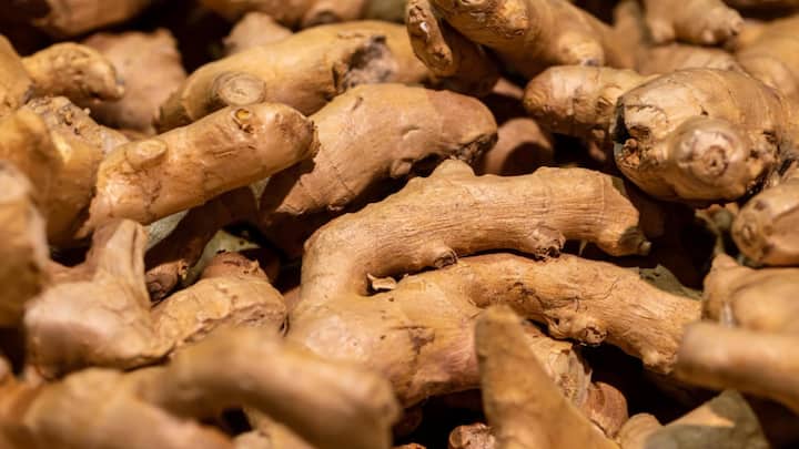 लहसुन का इस्तेमाल भी कई सब्जियों में किया जाता है. इसकी खेती करके आप अच्छा मुनाफा कमा सकते हैं.