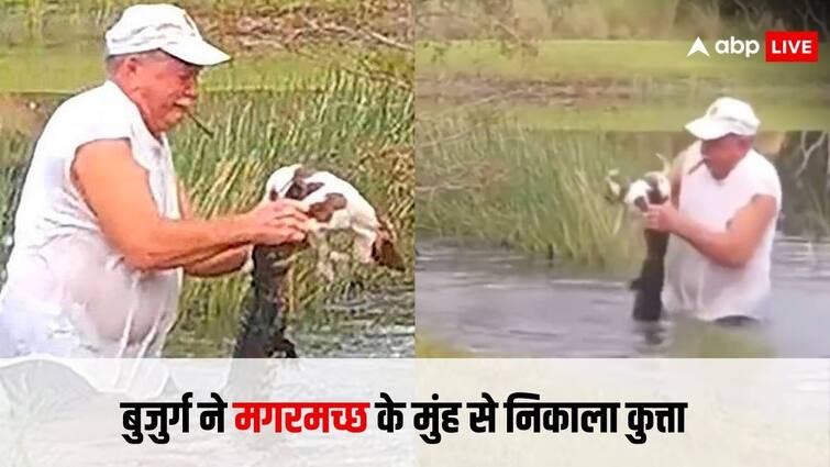 man saves a dog from crocodile mouth while holding cigar in his mouth video goes viral on internet मगरमच्छ के मुंह से कुत्ते को बचाने दौड़ पड़ा बुजुर्ग, मुंह में लगा रहा सिगार, वीडियो देख लोग बोले 'लीजेंड है भाई'